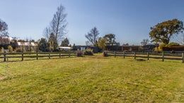 2900116_1.jpg