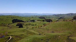 2900120_1.jpg
