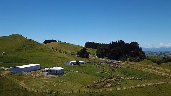 2900124_3.jpg