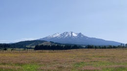 2900129_1.jpg