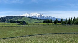 2900158_1.jpg