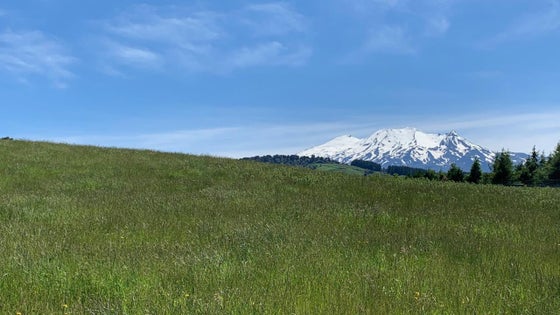 2900158_3.jpg