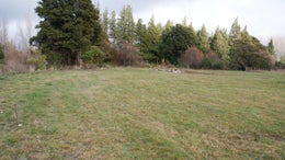2900388_1.jpg