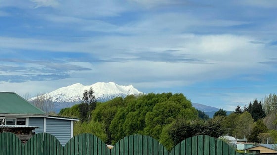 2900413_3.jpg