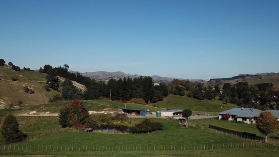 2900491_3.jpg