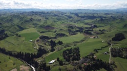 2900518_1.jpg