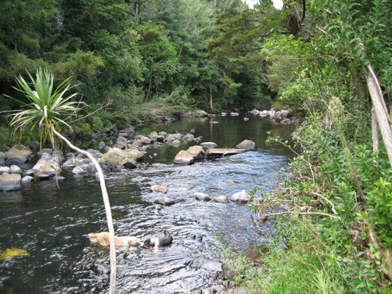 293446_3.jpg