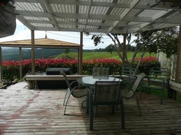 294131_1.jpg