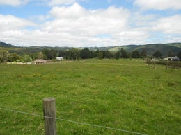 294263_1.jpg