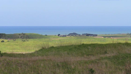 3000566_3.jpg