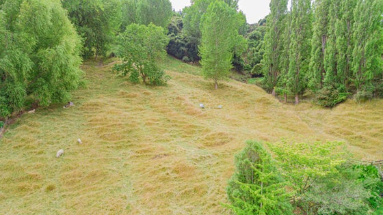 3001061_2.jpg