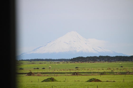 3003238_3.jpg
