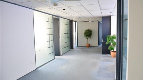 3050037_3.jpg