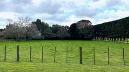 3051636_1.jpg