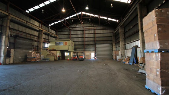 3052145_2.jpg