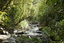 3053341_1.jpg