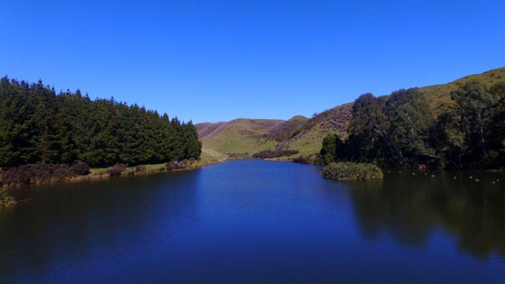 3060076_2.jpg