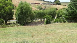 3100126_1.jpg