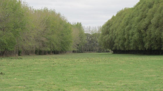 3100191_2.jpg