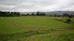 3100268_1.jpg