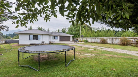3100274_3.jpg