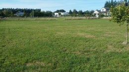 3150108_1.jpg
