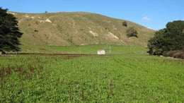 3150290_1.jpg