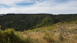 3150708_1.jpg