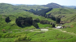 3150794_1.jpg