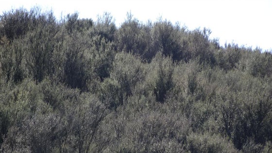3150794_3.jpg