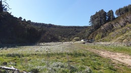 3150834_1.jpg