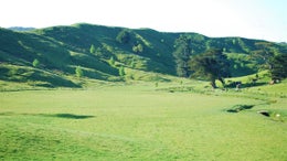 3150846_1.jpg