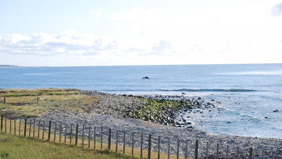 3150849_2.jpg