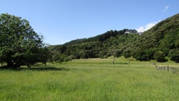 3150865_1.jpg