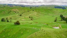 3150972_1.jpg