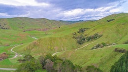 3151041_1.jpg