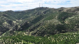 3151304_1.jpg