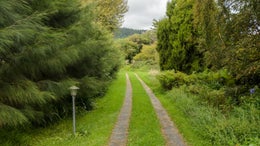 3230188_1.jpg