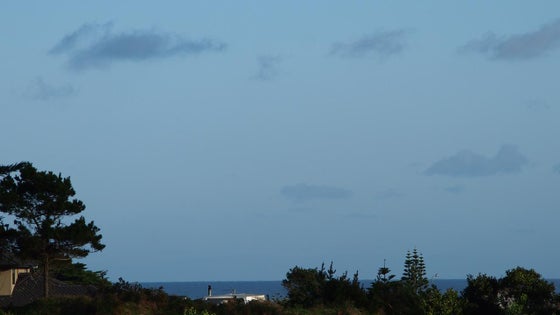 3230293_3.jpg