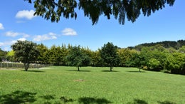 3230331_1.jpg