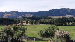 3230503_1.jpg