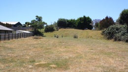 3230641_1.jpg