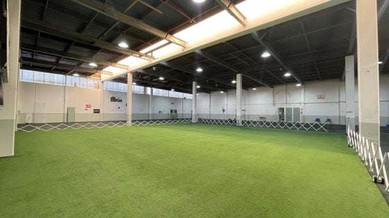 3253907_3.jpg