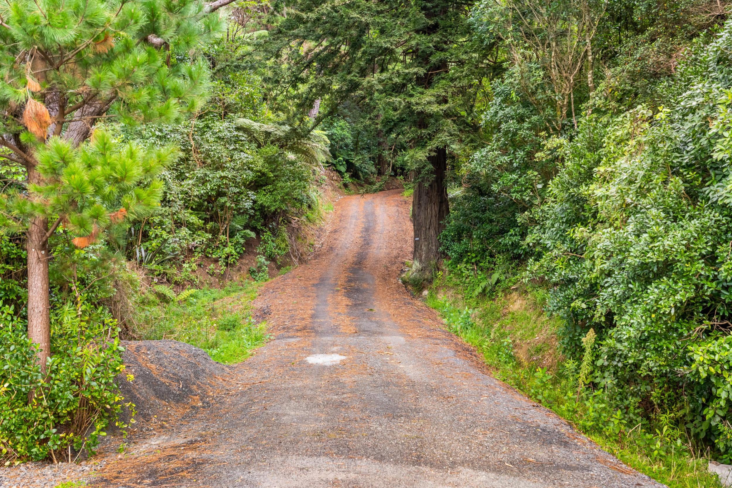Photo 11 of 1220 State Highway 2, Kaitoke, Upper Hutt