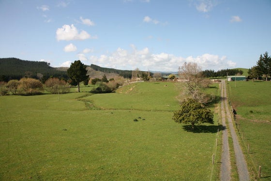 382008_2.jpg
