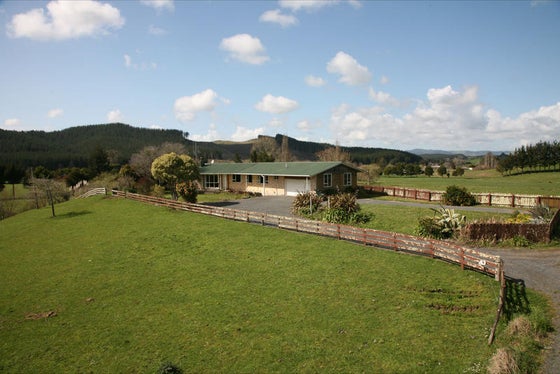 382008_3.jpg