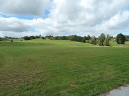 382183_1.jpg