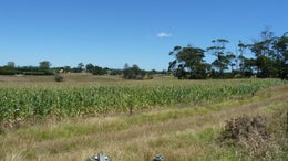 382541_1.jpg