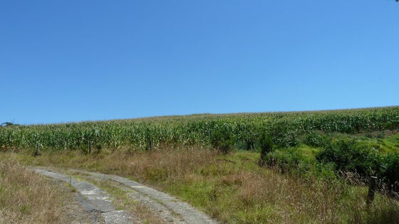 382541_3.jpg