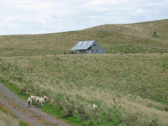 392095_3.jpg